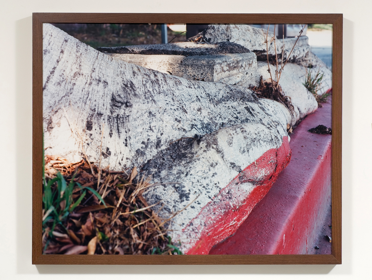 鲁本·奥乔亚 (Ruben Ochoa)，《在 90011 中亲吻》，2007。C 打印。 43 英寸 x 53 英寸 x 3.25 英寸。由艺术家和 Susanne Vielmetter 洛杉矶项目提供。罗伯特·韦德迈耶摄。